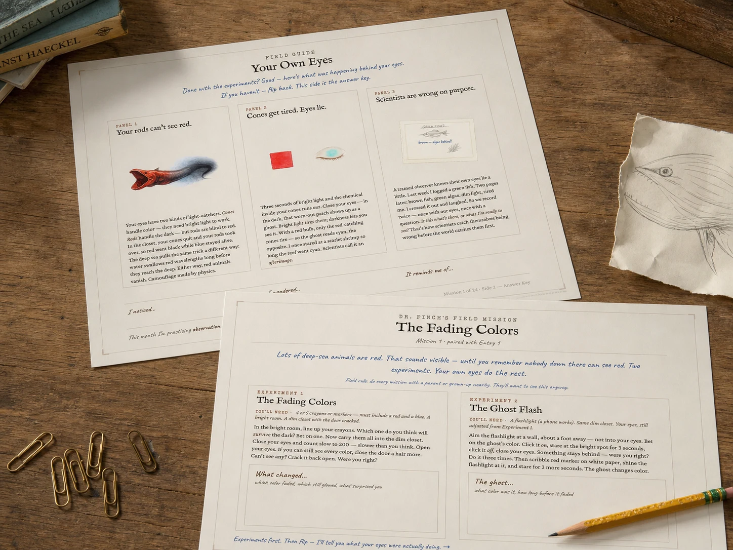 A landscape field-mission sheet on a wooden desk with a yellow pencil resting on it.